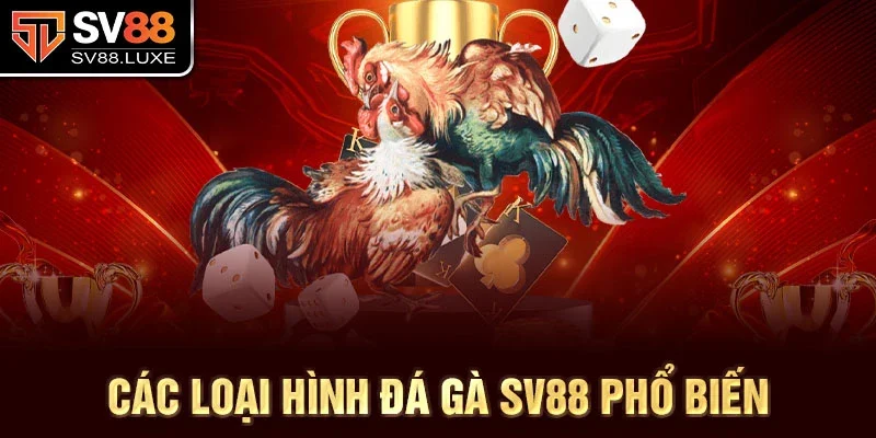 Các loại hình đá gà sv88 phổ biến