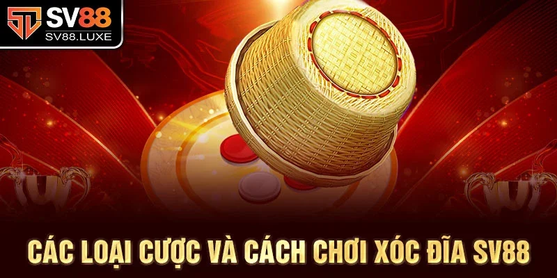 Các loại cược và cách chơi xóc đĩa SV88