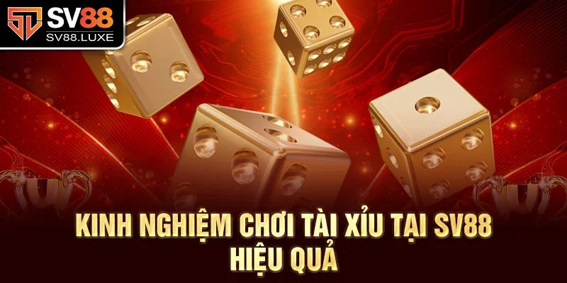 Kinh nghiệm chơi Tài Xỉu tại SV88 hiệu quả